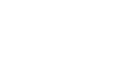 professional Locksmith Services